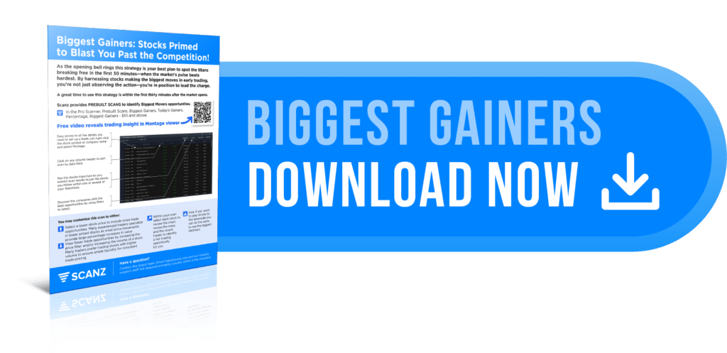Download Biggest Gainers cheat sheet - click to get PDF guide for scanning top performing stocks